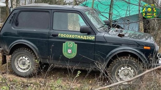 Лучшую подсадную утку выбрали в Нижегородской области